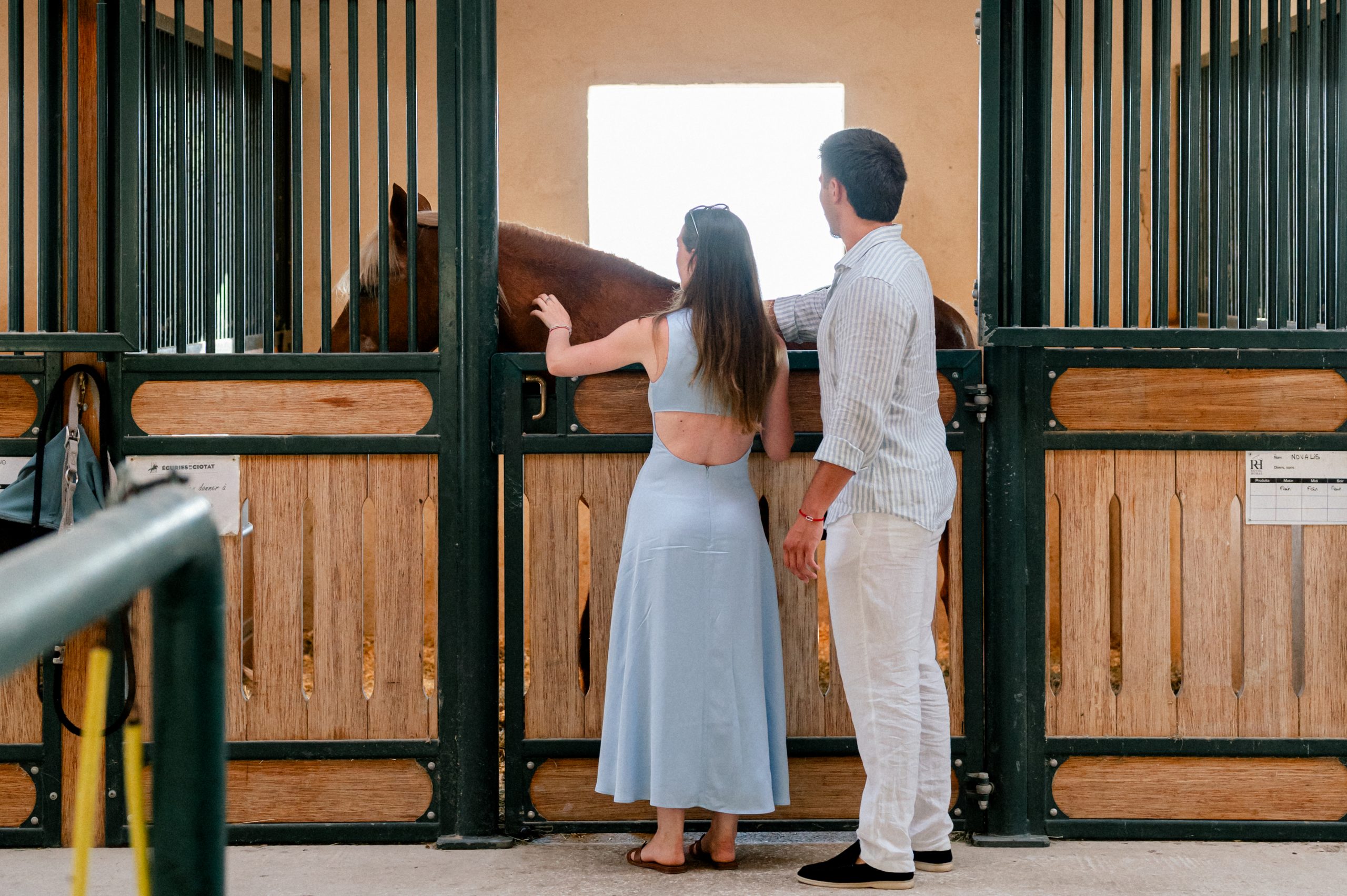 A simple sunrise proposal in Provence turned into an unforgettable surprise at a private equestrian center in Cassis.