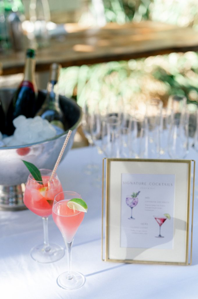 cocktails during cocktail hour at la deveze, gard , intimate american destination wedding
